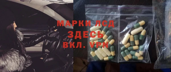 стафф Алзамай