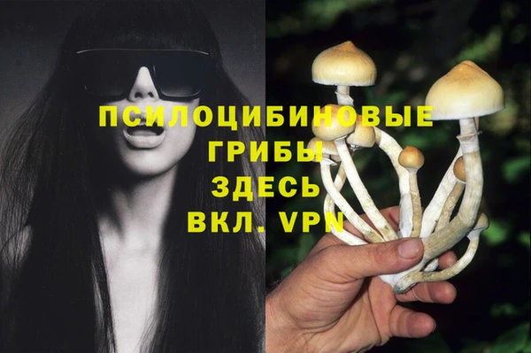 тгк Абинск